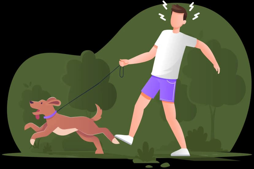 Anxious dog walk
