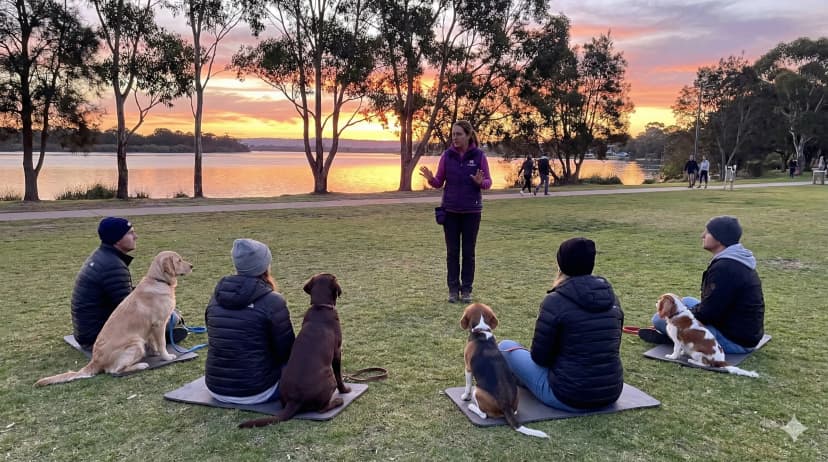 Happy puppies in training class