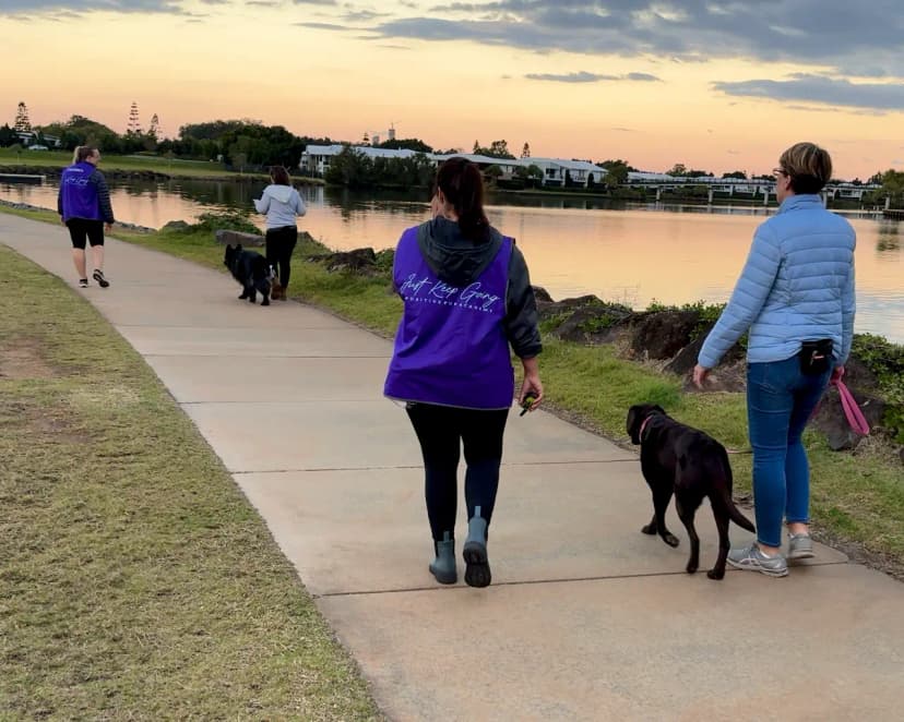 Professional reactive dog training class with expert guidance and small group setting